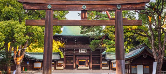 Tour gratuita por el Santuario Meiji y El Parque Yoyogi, Tokio