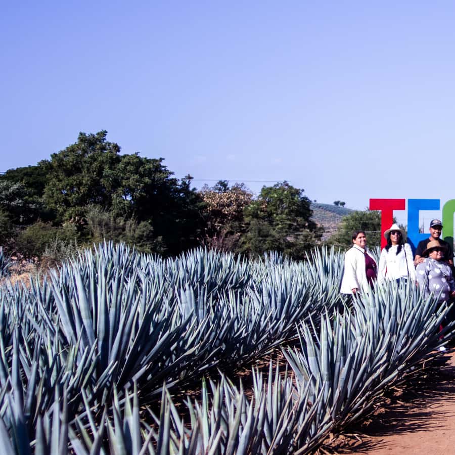 Tour en Fabra de tequila la Aguirreña con degustacia en tequila ...