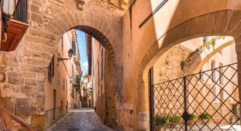 Tours Gratis en Palma de Mallorca: Explore La Capital Balear