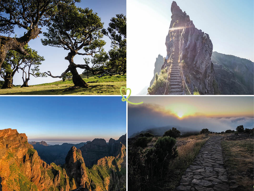 12 Mejores Rutas de Senderismos en Madeira (Fotos + Consejos)