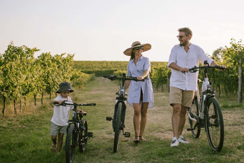 Corte Fornello Winery Tour + Electric Bike Rental en Valeggio Sul ...