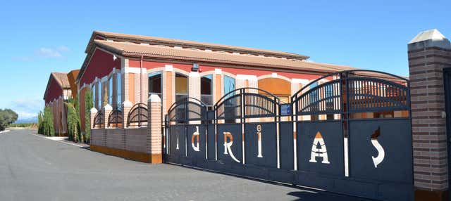 Visita a la Bodega Idrias, Ponzano - Civitatis.com