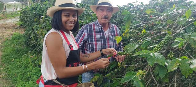Visita a La Finca Cafetera El Edén en Bogotá - Civitatis México