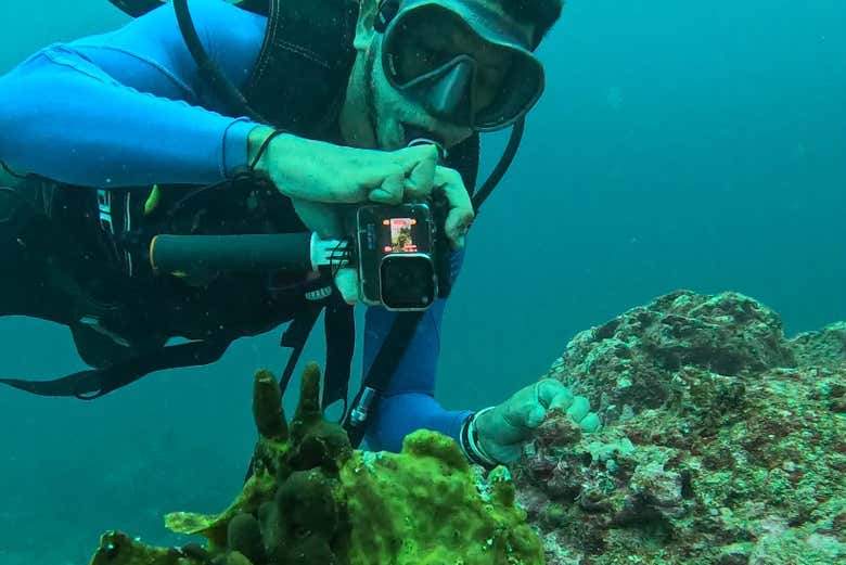 Buceo en el Parque Nacional Coiba, Santa Catalina - Civitatis.com