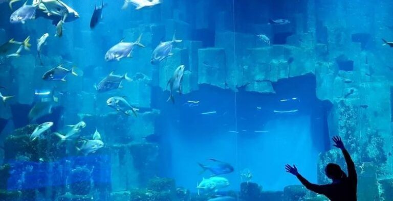 ¿Qué ver en el Aquarium de París (Cinéaqua) ᐈ Guía 2025