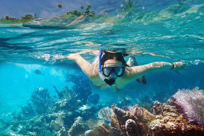 2025) Tour a Isla Catalina Con Snorkeling Desde Punta Cana