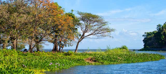 Excursión a Las Islas Zapatera y El Muerto Desde Granada - Civitatis