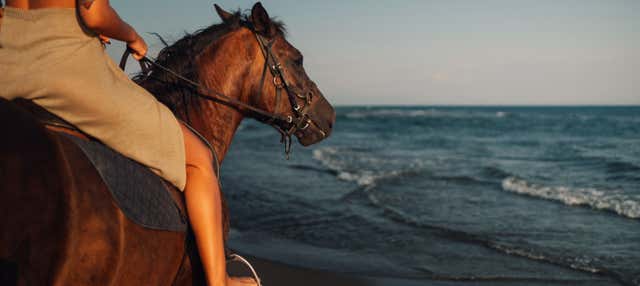 Excursión A Las Playas Los Cocos y Los Naranjos + Paseo A Caballo ...