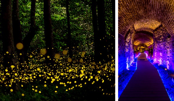 Tour al Santuario de Las Luciernagas y TÚNELES SUBTERRANEOS DESDE CDMX