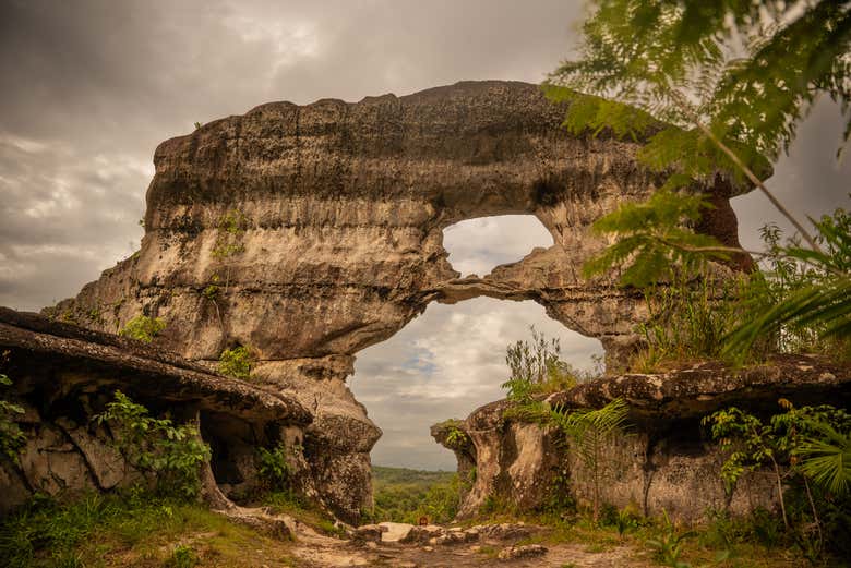 Excursión privada desde San José del Guaviare - Civitatis.com