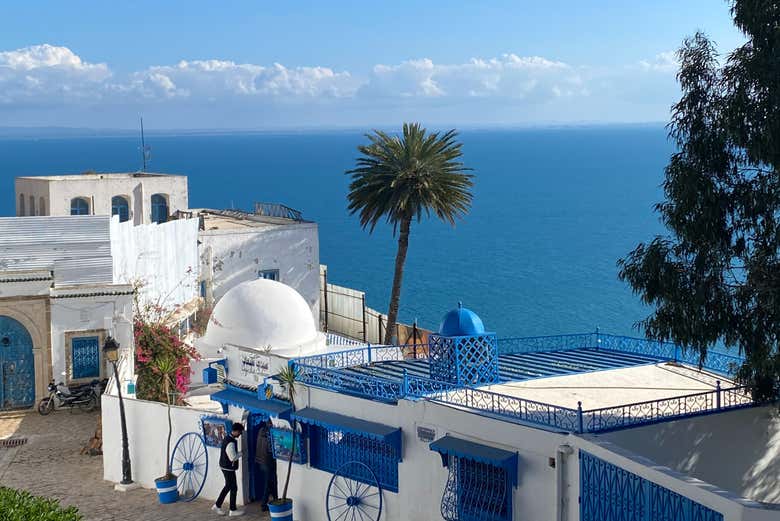 Tour gratuita por Sidi Bou dijo, Túnez - Civitatis.com