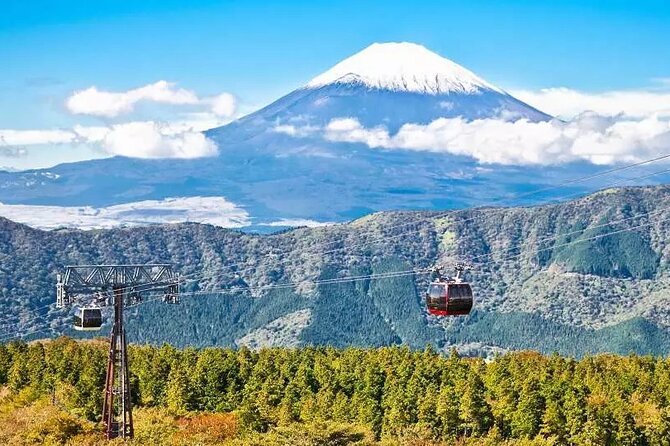 2025) Hakone Free Pass, 2-3 Días Vale de Vije Japón