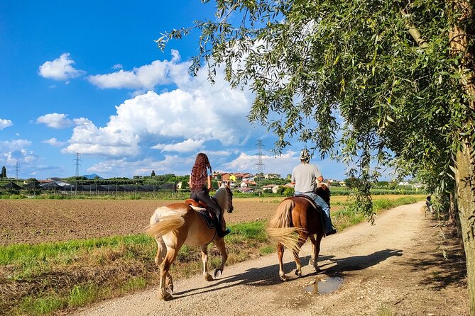 2025) Paseos A Caballo Con Degustacia de Vino y Comida en el ...