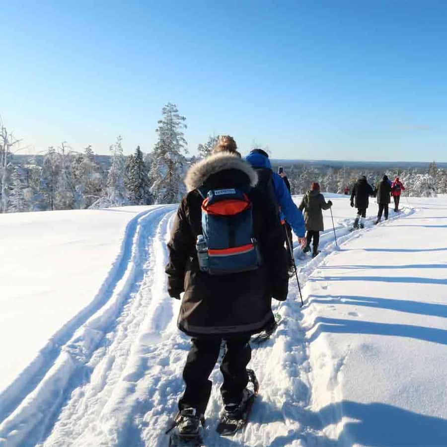 Luleå: ¡Raquetas de Nieve en la Naturaleza Virgen Con Un guía ...