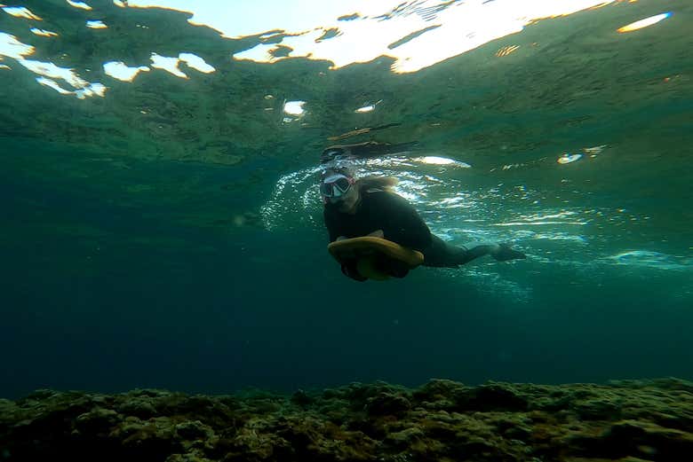 Snorkel Con Scooter Submarino En Cap d'Ail, Niza - Civitatis.com