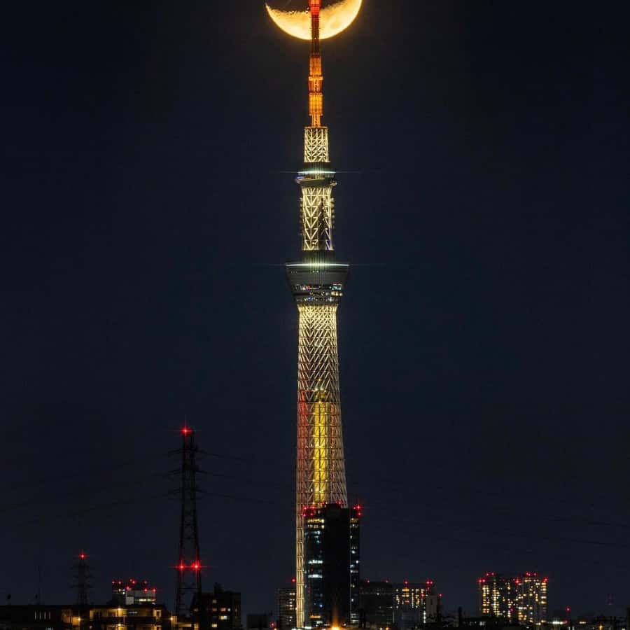 Tour de la Ciudad de Tokio Conductor de Habla Inglesa.