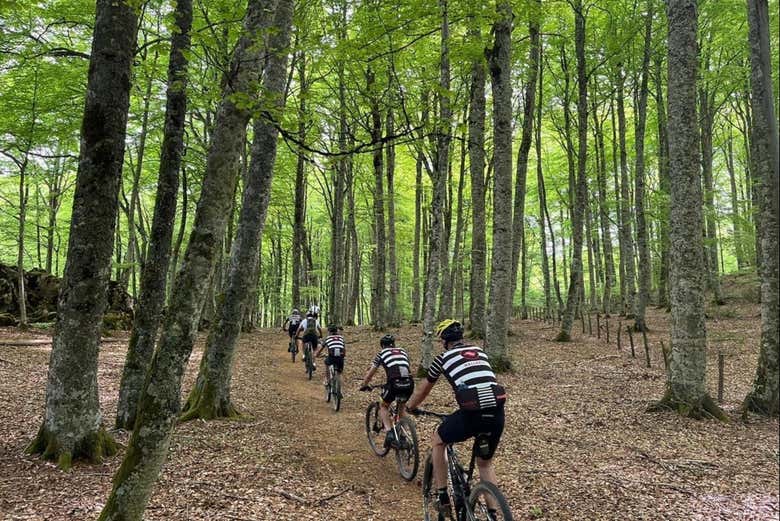 Tour en Bicicleta Eléctrica por la Selva de Irati Desde ...