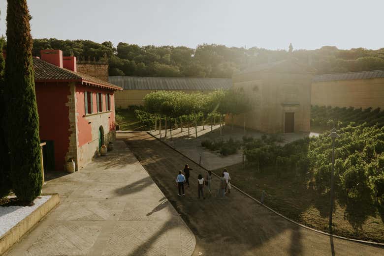 Visita A Las Bodegas Arínzano, Estella - Civitatis.com
