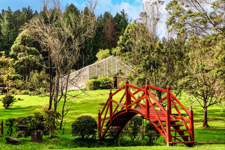 Visita Al Ecoparque Recinto del Pensamiento, Manizales - Civitatis