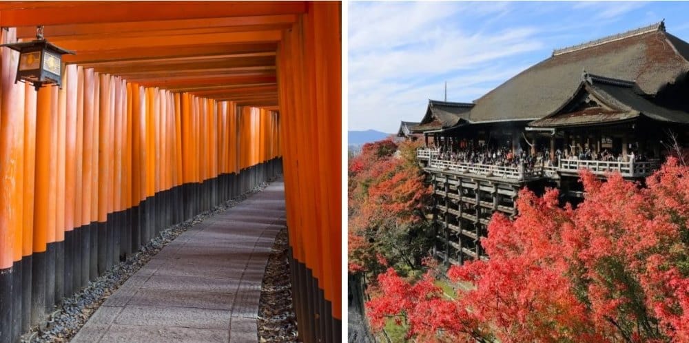 Tour Por Fushimi Inari-Taisha y Kiyomizu-Dera (Kioto) ❤️