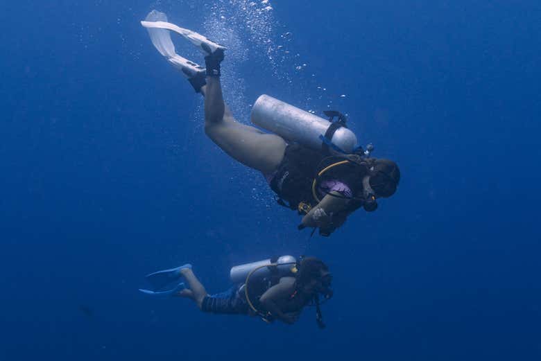 Bautismo de Buceo en Isla Fuerte - Reserva Online en Civitatis.com