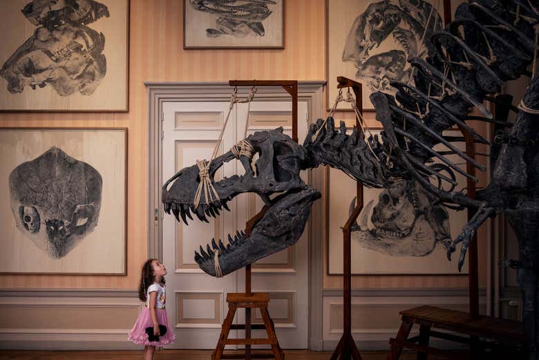 Entrada al Art Zoo Museum Con Audioguía, Ámsterdam - Civitatis