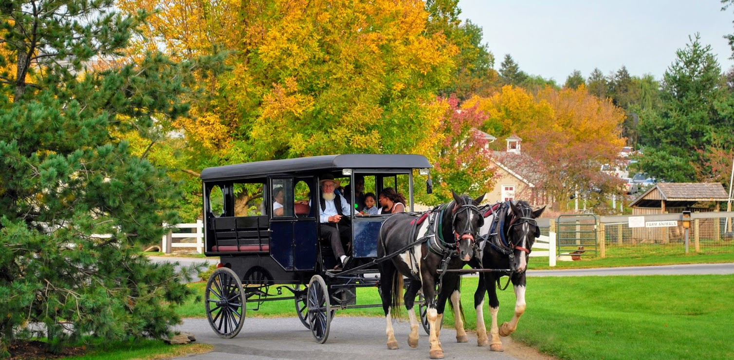 Excursión 1 Día A Filadelfia y Amish - Guía en Español