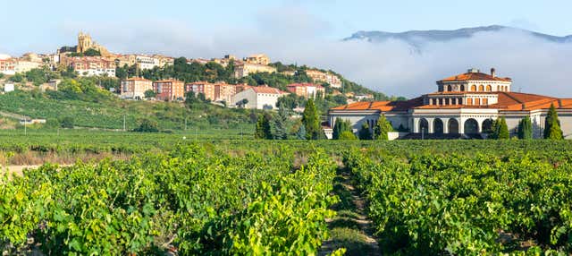 Excursión a Laguardia y Haro Con VisitA A Dos Bodegas Desde Bilbao