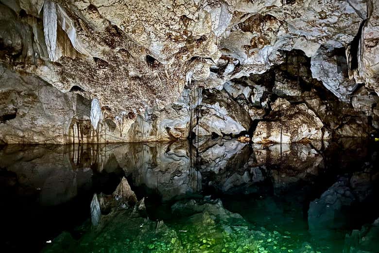 Excursión A Las Cuevas de Green Grotto + Jamaica Swamp Safari ...