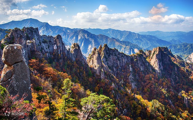 Excursión A Seoraksan Desde Seúl |