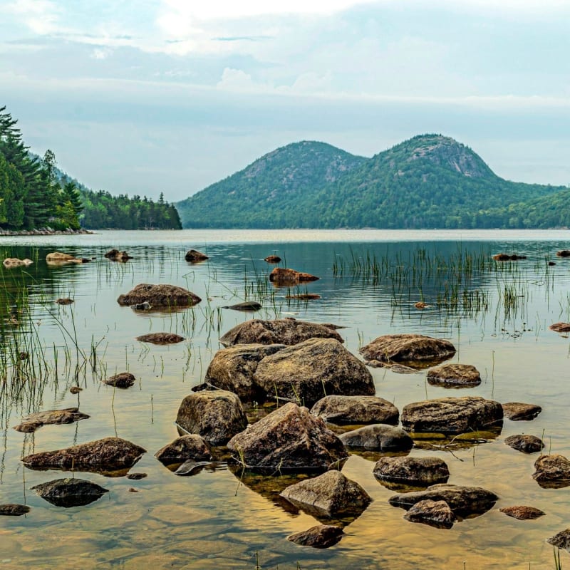 Excursiones al Parque Nacional Acadia Desde Bar Harbor ...