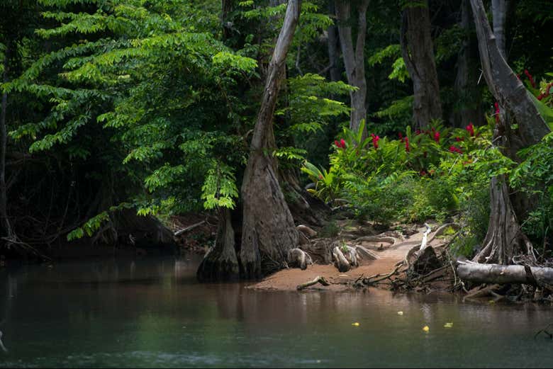 Excursión al para parque cabrits nacionales + paseo en barco por indio ...