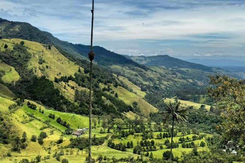 Excursión Al Valle de Cocora + Visita a La Finca Cafetera ...