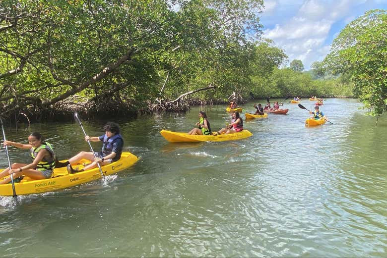 Senderismo y kayak por el parque nacional los haitises desde ...