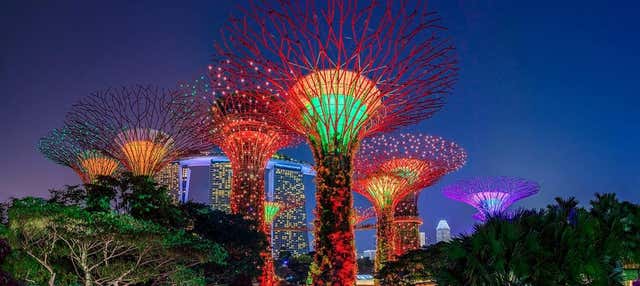 Tour Al Atardecer por Singapur + Espectáculos de Luz y Sonido + ...