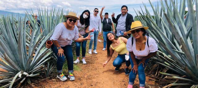 Tour de 2 Días por Tequila, TlaquePAque y Guadalajara Desde Ciudad ...
