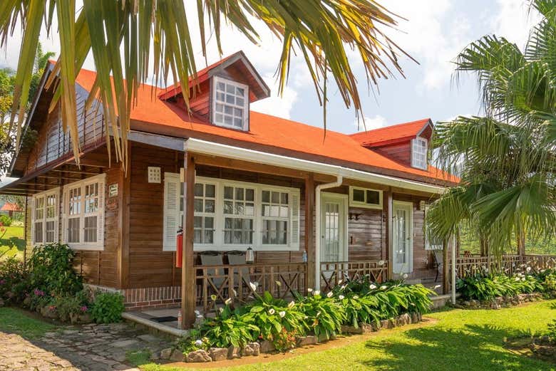 Tour del Café Por Chiapas Desde tuxtla Gutiérrez Con noche en una ...