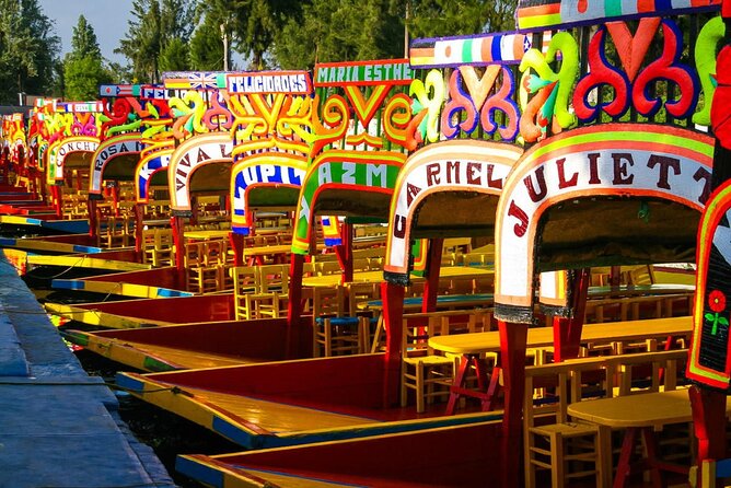 Tour Xochimilco: Coyoacán y Museo Frida Kahlo en Ciudad de México