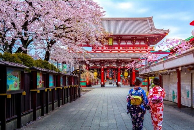 Tour Por la Ciudad de Tokio en Coche Privado y guía inglés