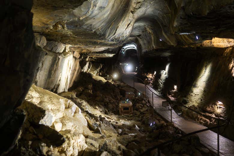 Visita a la Cueva de Aillwee + Centro de Aves Rapaces Del Burren ...