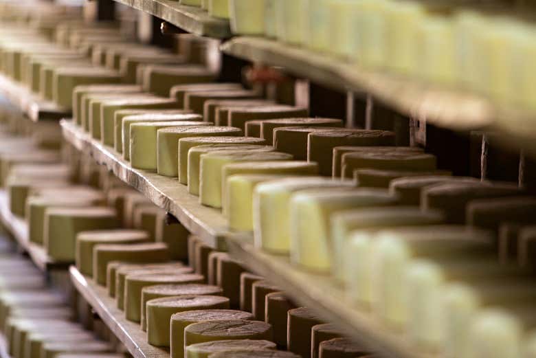 Visita a la quesería Campoveja + Taller de queso, Serrada - Civitatis