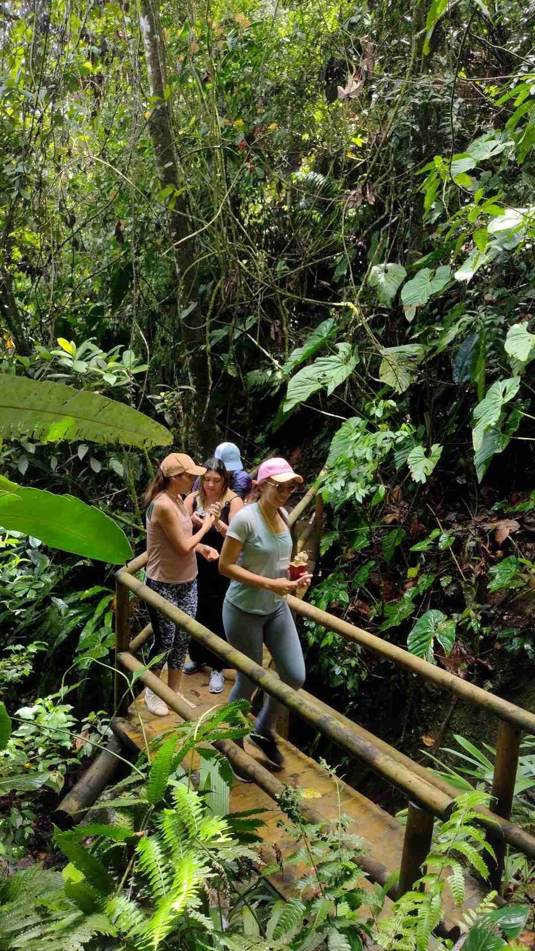 Descubre Que Hacer en San Rafael Antioquia: Tour del Cacao