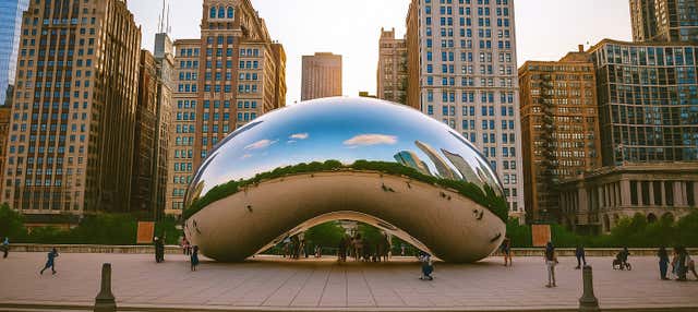 Visita Guiada por Chicago + Subida A Dos Miradores - Civitatis.com