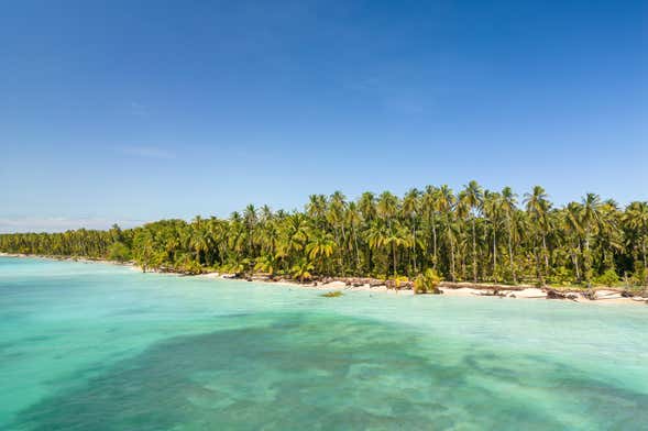 Excursión A Cayo Zapatilla y Cayo Coral en Barco Desde Bocas del ...