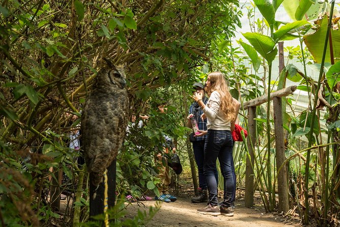 Ticket de admisión de 2025 BioParque La Reserva (COTA) - Con confianza ...