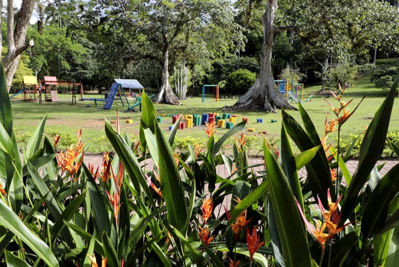 Excursión Al Parque Cumbre municipal Desde Ciudad de Panamá ...