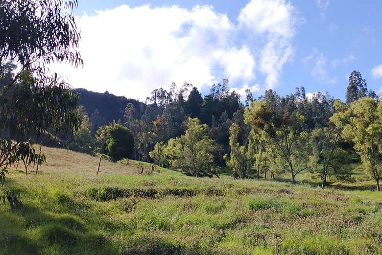 Senderismo por los Bosques de Turmequé - Reserva en Civitatis.com