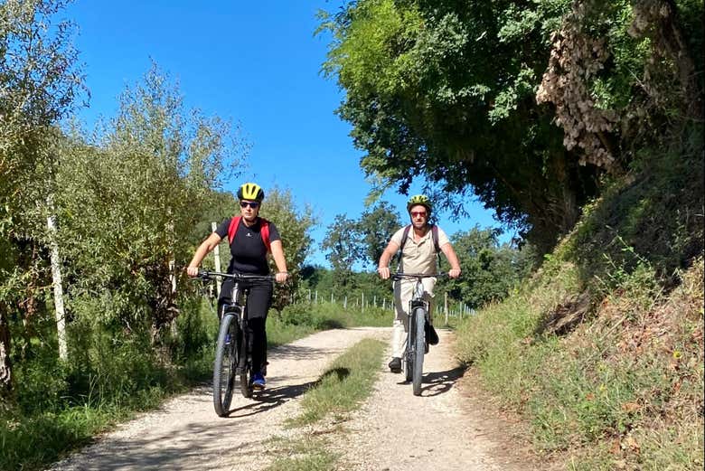 Tour en Bicicleta Eléctrica por desenzano del Garda + Cata de ...