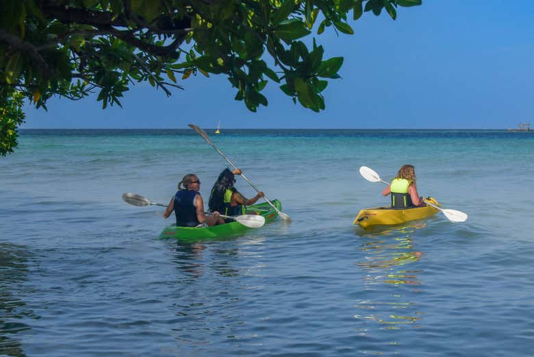 Tour en kayak por la Isla de Sea Glass Desde Oranjestad - Civitatis