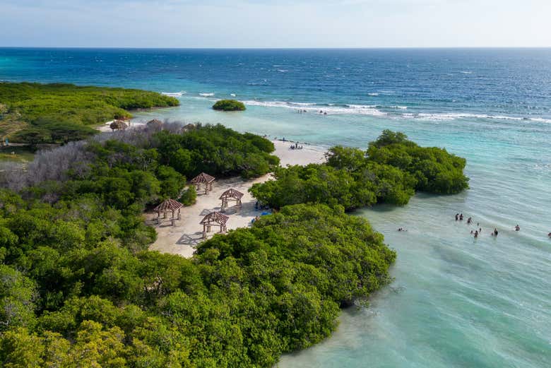 Tour en kayak por la laguna española y mangel halto + snorkel ...